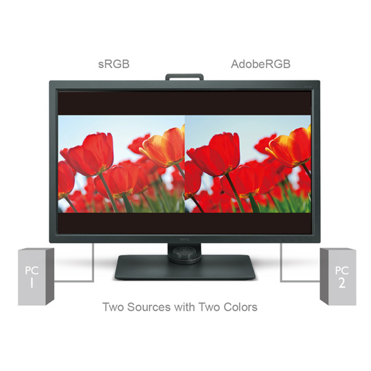 BenQ SW320