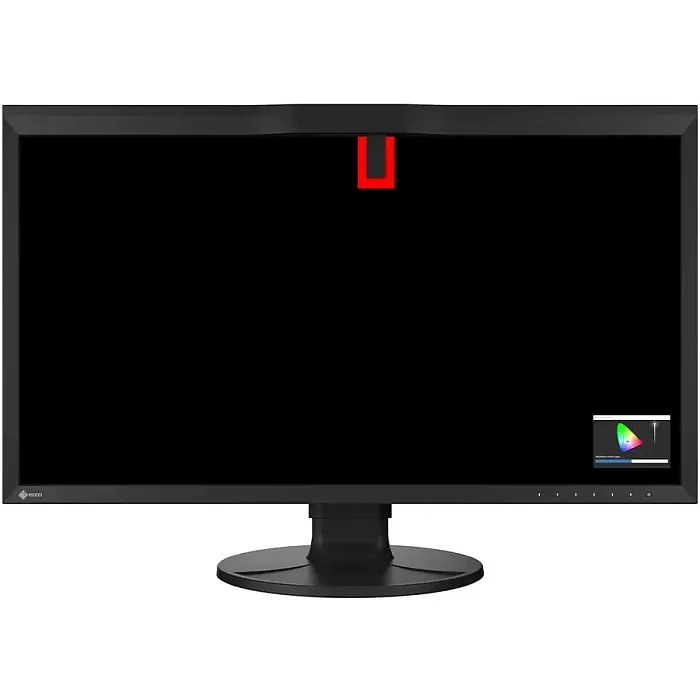 4K монитор Eizo ColorEdge CG3100X - фото 8