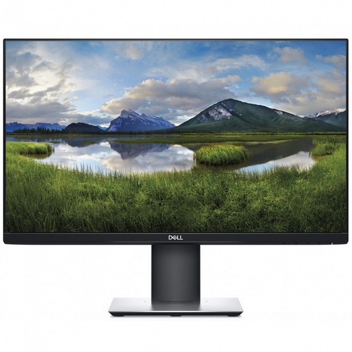 WQHD монитор Dell P2421D - фото 2