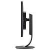 WQHD монитор Philips BDM3270QP - фото 6