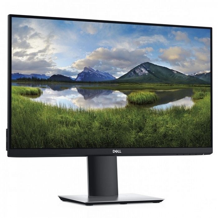 WQHD монитор Dell P2421D - фото 3