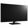4K монитор LG 43UD79-B - фото 6